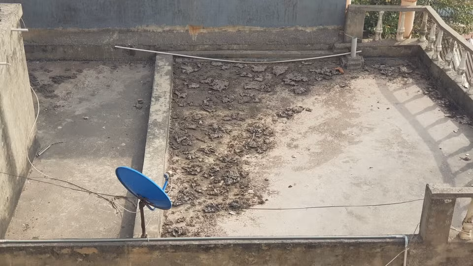 Hai Duong: Dan song canh Cong ty Giay Cam Binh keu than o nhiem-Hinh-6