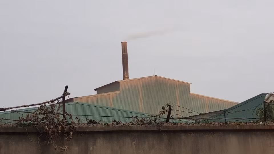 Hai Duong: Dan song canh Cong ty Giay Cam Binh keu than o nhiem