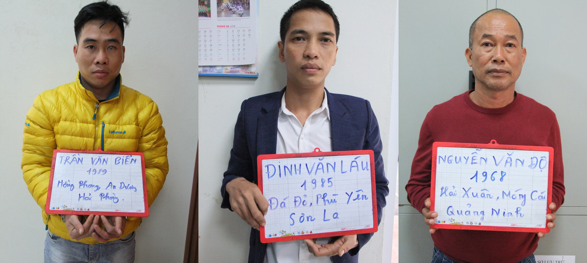 Quang Ninh: Bat cap vo chong dieu hanh 3 co so mai dam