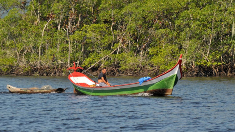 Hòn đảo này có 33.000 mẫu rừng ngập mặn, bãi biển, đầm lầy và động vật hoang dã.