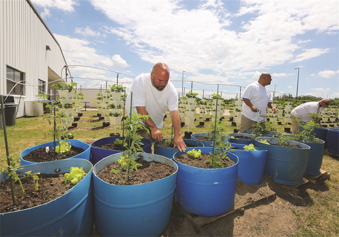 Một tù nhân ở Michigan, Mỹ đã nghĩ ra cách trốn tù là tự chôn mình trong vườn của nhà tù. Nhưng không may cho anh này là một bạn tù đã vô tình hất tung cái đống đất mà anh đang nằm trốn trong đó.