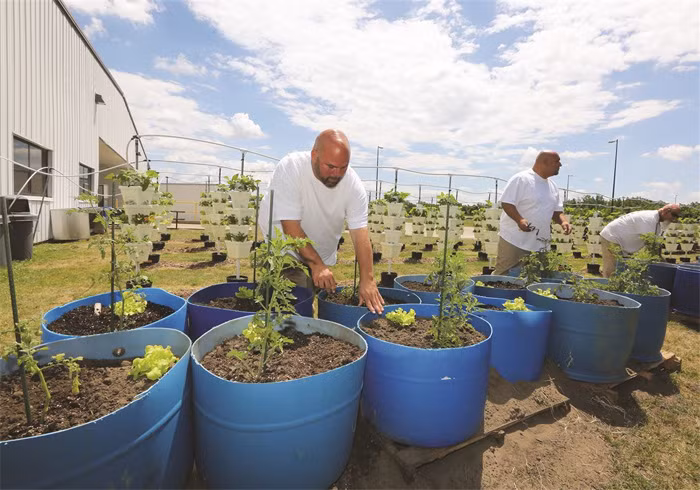 Một tù nhân ở Michigan, Mỹ đã nghĩ ra cách trốn tù là tự chôn mình trong vườn của nhà tù. Nhưng không may cho anh này là một bạn tù đã vô tình hất tung cái đống đất mà anh đang nằm trốn trong đó.