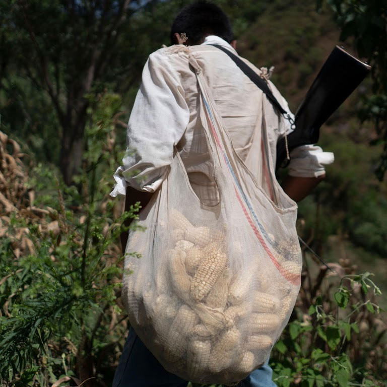 Kêu gọi chính phủ bất thành, những người nông dân phải tự bảo vệ mình bằng cách thành lập đội dân quân tự vệ CRAC-PF, những người này thay nhau đi tuần tra lãnh thổ suốt ngày đêm. Người dân ra đồng trồng ngô cũng phải tự trang bị súng dắt lưng để tự bảo vệ mình.