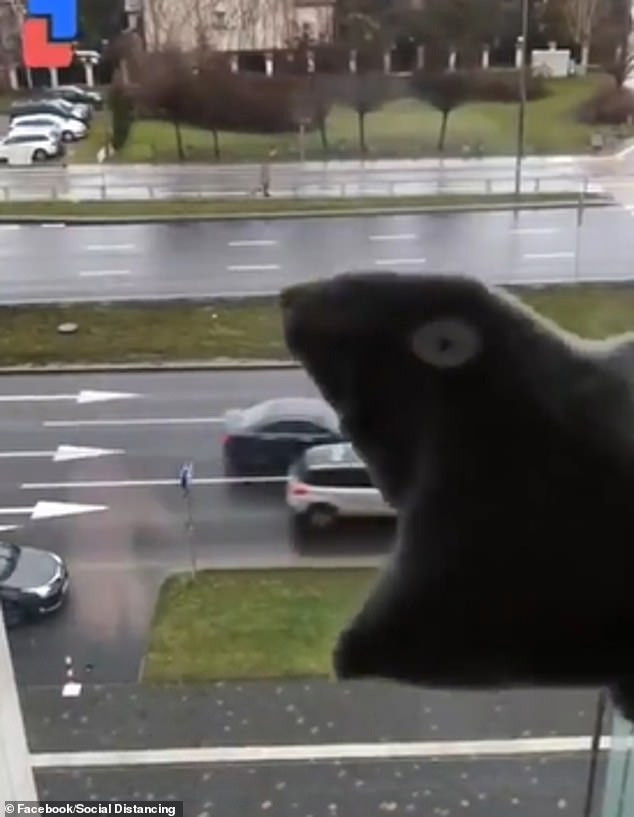 Ngồi trong nhà chán, người đàn ông nghĩ ra cách chơi game Pac-Man với những chiếc ô tô phía dưới đường.