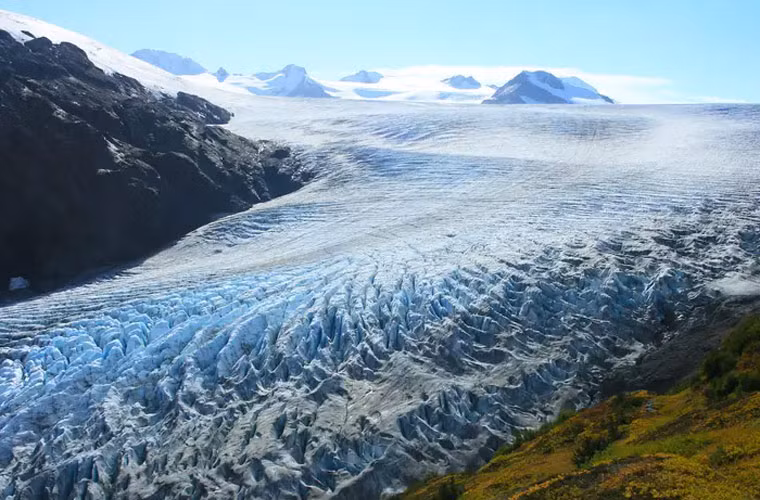 Công viên quốc gia Kenai Fjords ở Alaska nổi tiếng bởi có dòng sông băng hùng vĩ. Công viên cũng là nơi sinh sống của nhiều loại động vật hoang dã Alaska như cá voi, dê núi, gấu, nai sừng tấm. (Nguồn ảnh: Insider)