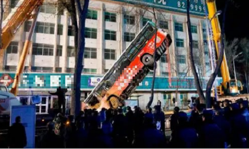 Hai hung ho tu than dot nhien xuat hien, “nuot chung” ca xe buyt-Hinh-3