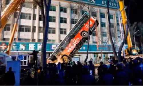 Hai hung ho tu than dot nhien xuat hien, “nuot chung” ca xe buyt-Hinh-3