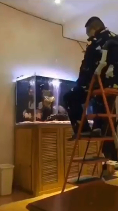 Không ra ngoài câu cá được thì có sao bởi người đàn ông này đã nghĩ ra cách tiêu khiển câu cá trong bể cá gia đình.