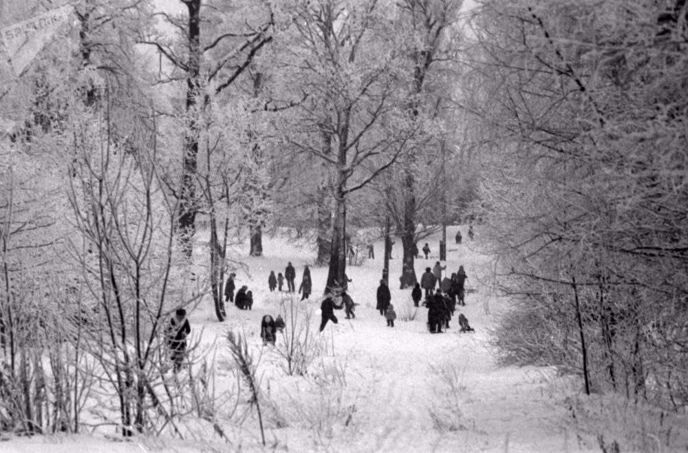 Người dân quận Yasenevo, Moscow, đi bộ trong công viên vào những năm 70 thế kỷ trước.