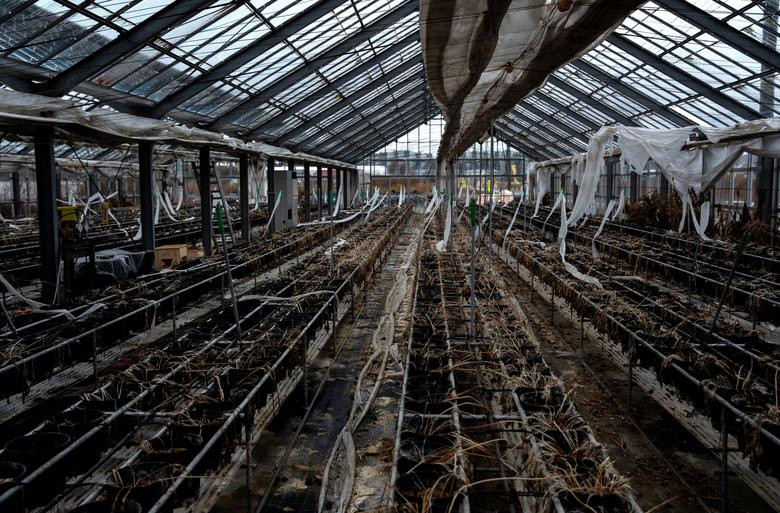 Có thể thấy, 9 năm sau thảm họa động đất, sóng thần ở Fukushima, nơi đây vẫn rất hoang vắng. Ảnh: Một khu vườn bị bỏ hoang trong khu vực gần nhà máy điện Fukushima Daiichi - nơi bị tê liệt do thảm họa kép xảy ra năm 2011, ở thị trấn Futaba, quận Fukushima, ngày 10/3/2020.