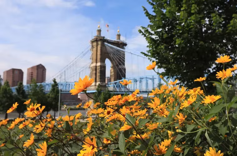 Được xây dựng từ năm 1866, cầu John A. Roebling Suspension là một trong những cây cầu cổ nhất ở Mỹ, nối liền Cincinnati (Ohio) với Covington, Kentucky.