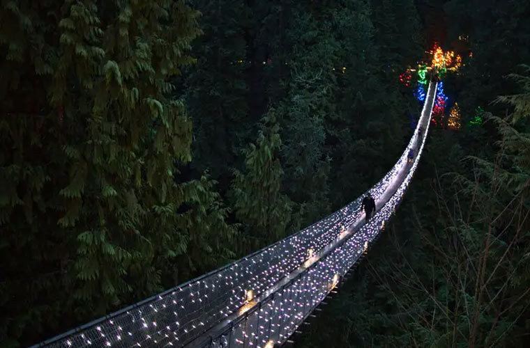 Ẩn mình trong một khu rừng ở Canada, cầu treo Capilano Suspension ở Bắc Vancouver, British Columbia là một trong những địa điểm hoàn hảo nhất cho những người thích tìm cảm giác mạnh. Cầu được xây vào năm 1889, dài 134m.