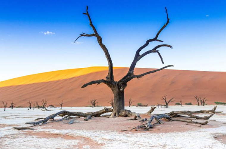 Đầm lầy chết, Namibia. Dead Vlei, theo nghĩa đen là đầm lầy chết, nằm giữa những cồn cát cao nhất thế giới, với độ cao tới 400m. Nơi đây từng rất trù phú, nhưng giờ nó hầu như là vùng đất cằn cỗi bởi sự thay đổi khí hậu mạnh mẽ từ 900 năm trước.