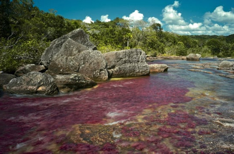 Dòng sông cầu vồng Cano Cristales, Colombia. Trong lúc giao mùa giữa mùa khô và mùa mưa ở Colombia, dòng sông Cano Cristales có tới ba màu: đỏ, vàng và xanh lá cây. Chính vì thế nó được mọi người ngợi ca là “Dòng sông chảy từ thiên đường”, “Dòng sông cầu vồng huyền thoại”.