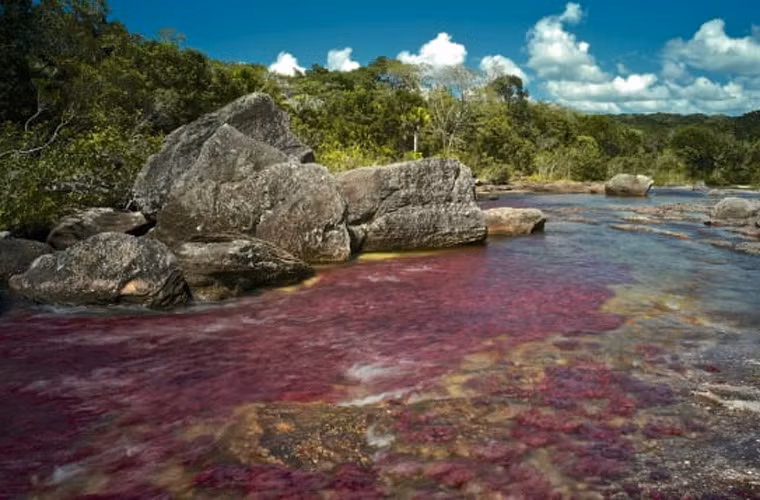 Dòng sông cầu vồng Cano Cristales, Colombia. Trong lúc giao mùa giữa mùa khô và mùa mưa ở Colombia, dòng sông Cano Cristales có tới ba màu: đỏ, vàng và xanh lá cây. Chính vì thế nó được mọi người ngợi ca là “Dòng sông chảy từ thiên đường”, “Dòng sông cầu vồng huyền thoại”.