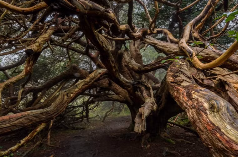 Choang ngop nhung phong canh thien nhien ky la nhat ton tai tren the gioi