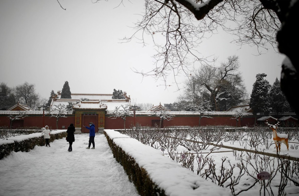 Sau khi chắc chắn cả nhà đã đeo khẩu trang và trang bị đầy đủ nước rửa tay khô, Kiều gia mới bắt đầu lên đường đi chơi công viên Cảnh Sơn, nằm bên cạnh Tử Cấm Thành ở thủ đô Bắc Kinh, Trung Quốc.