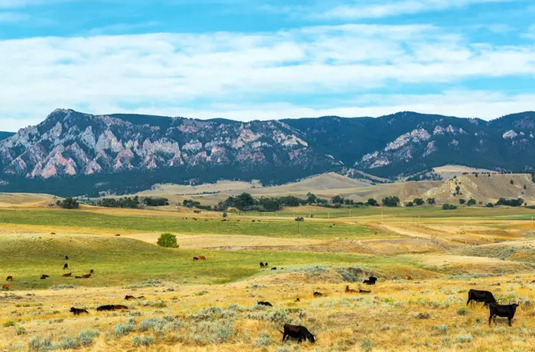 Khu vực núi Bighorn có thảo nguyên, thung lũng, sa mạc và thác nước. Mời độc giả xem thêm video: Bộ ảnh về dãy Himalaya hùng vĩ (Nguồn video: VTC1)