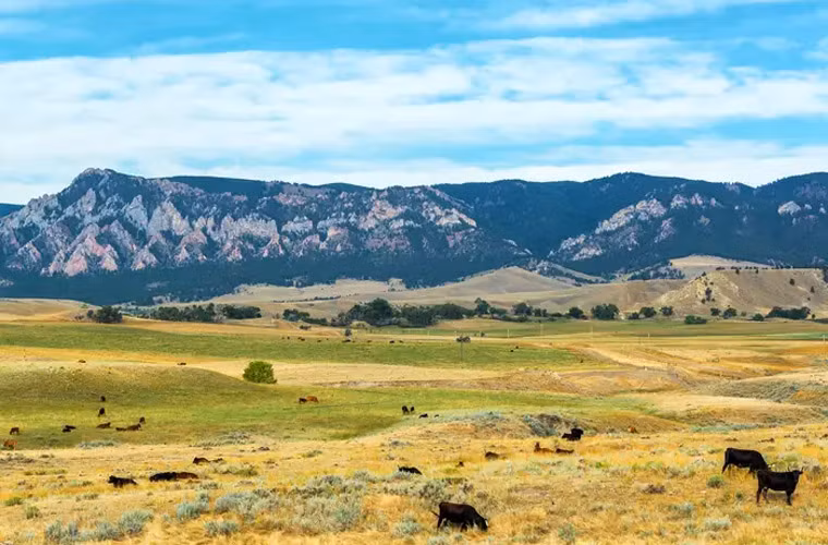 Khu vực núi Bighorn có thảo nguyên, thung lũng, sa mạc và thác nước. Mời độc giả xem thêm video: Bộ ảnh về dãy Himalaya hùng vĩ (Nguồn video: VTC1)