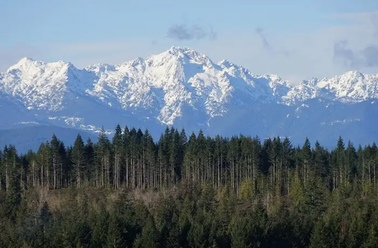 Dãy núi Olympic ở Washington có khoảng 60 sông băng.