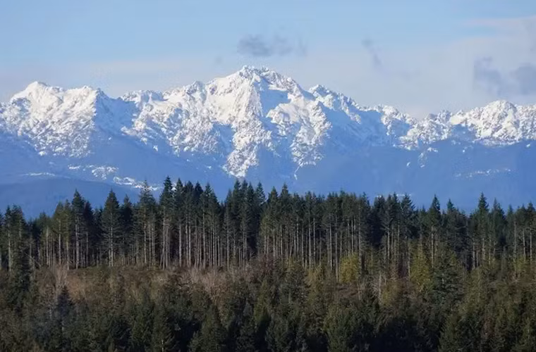Dãy núi Olympic ở Washington có khoảng 60 sông băng.