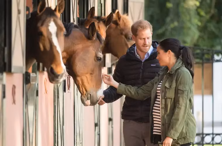 Tháng 2/2019: Meghan và Harry tới Morocco trong một chuyến công tác.