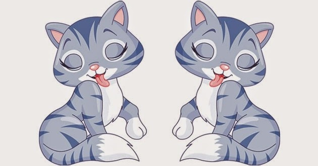 Không chỉ may mắn trên phương diện tài lộc, tuổi Mão còn có thể may mắn trong tình cảm. Với người độc thân sẽ tìm được một nửa của mình. Với người có đôi có cặp thì tình cảm càng thêm gắn bó, gần gũi. Những người tuổi Mão nên nắm bắt cơ hội này để cả hai có thể hiểu nhau và tiến xa hơn.