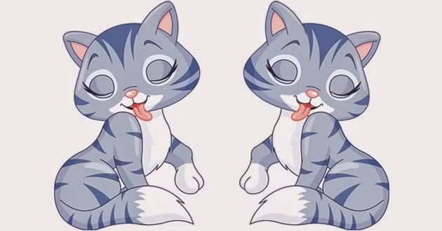 Không chỉ may mắn trên phương diện tài lộc, tuổi Mão còn có thể may mắn trong tình cảm. Với người độc thân sẽ tìm được một nửa của mình. Với người có đôi có cặp thì tình cảm càng thêm gắn bó, gần gũi. Những người tuổi Mão nên nắm bắt cơ hội này để cả hai có thể hiểu nhau và tiến xa hơn.