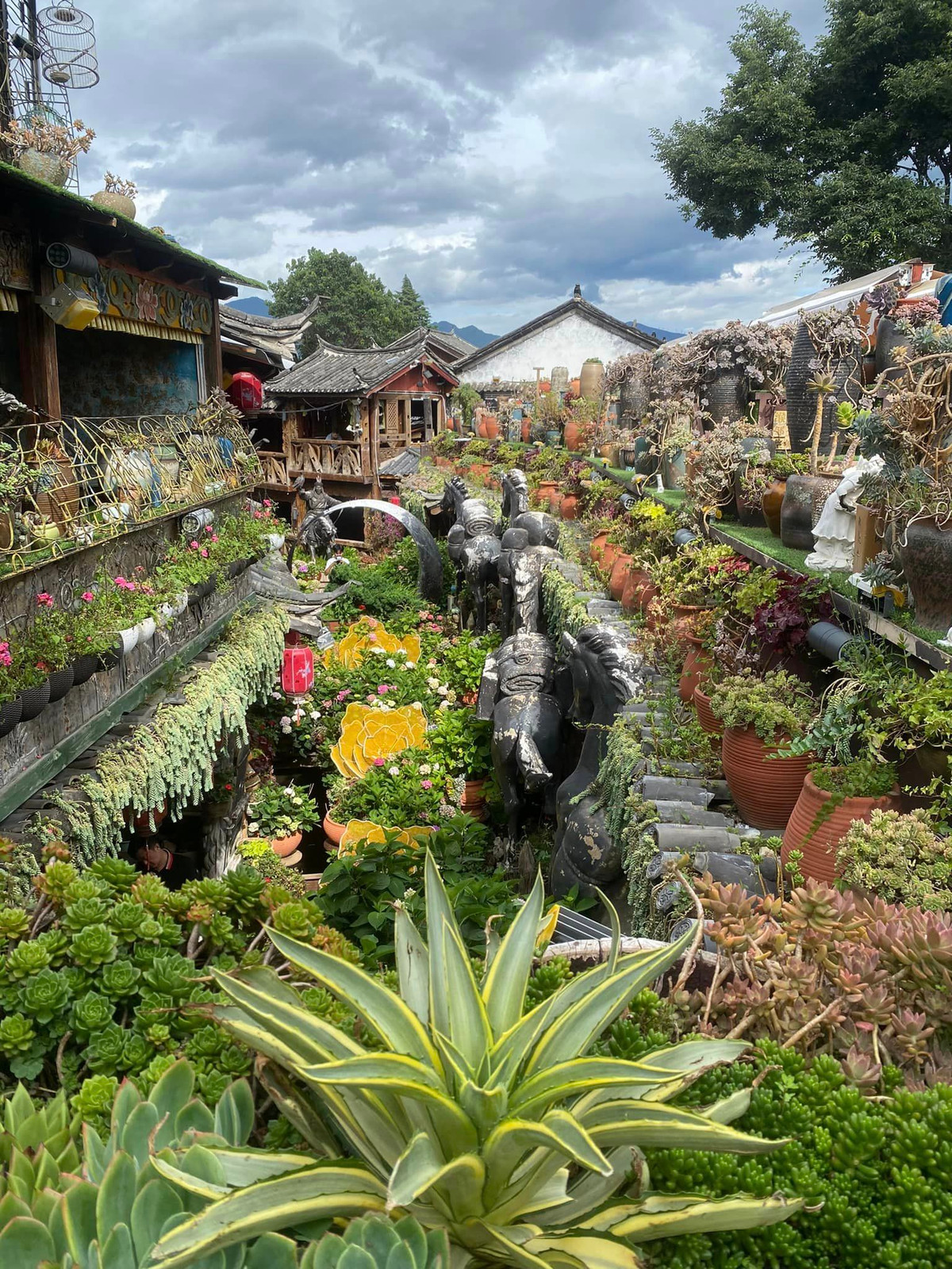 Một trong những điểm "sống ảo" hấp dẫn ngay trước một quán ăn.