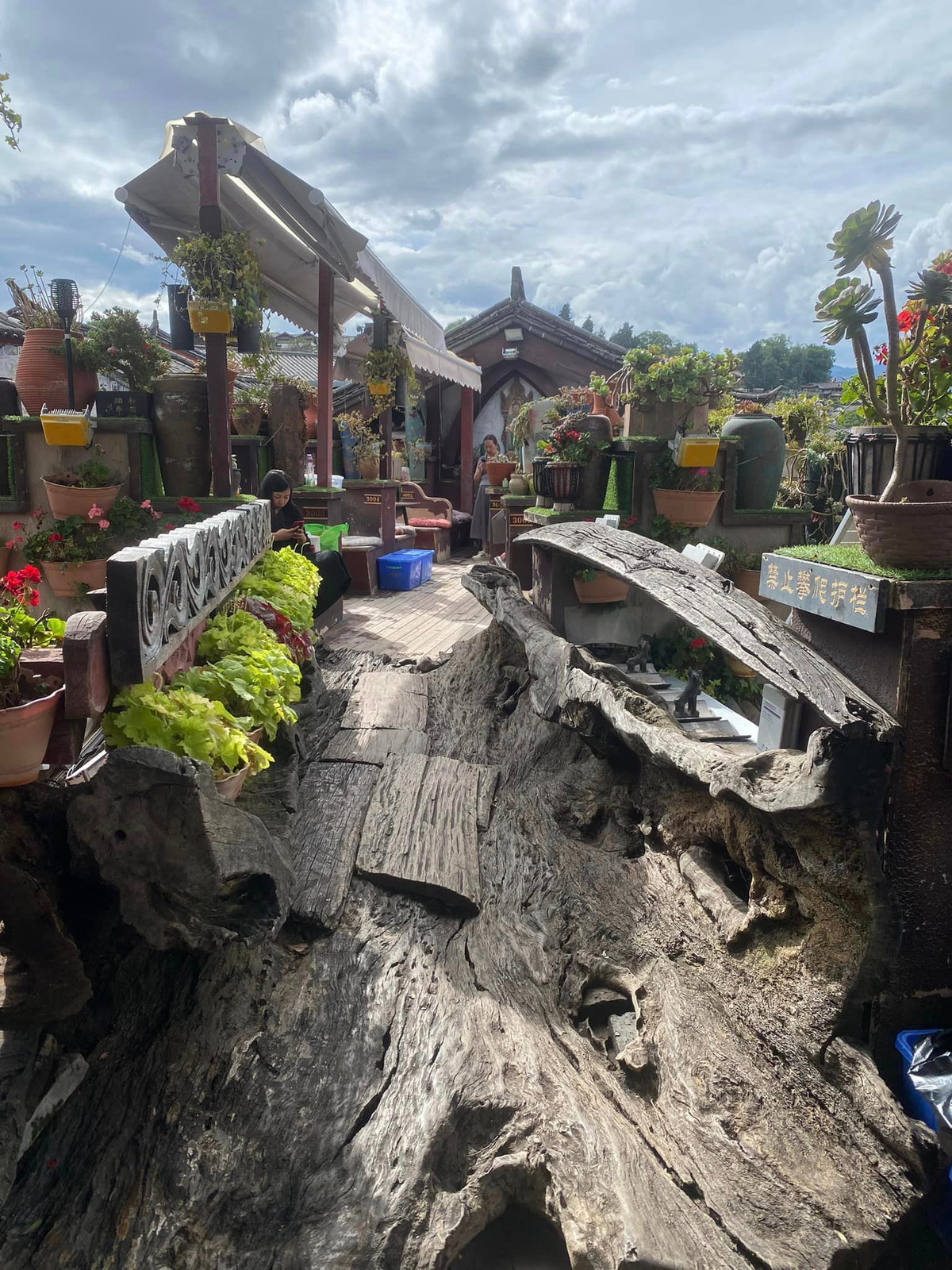 Các quán xá tại đây cũng trang trí theo phong cách cổ kính, 1 thân cây được khoét để làm cầu kết nối 2 dãy nhà.