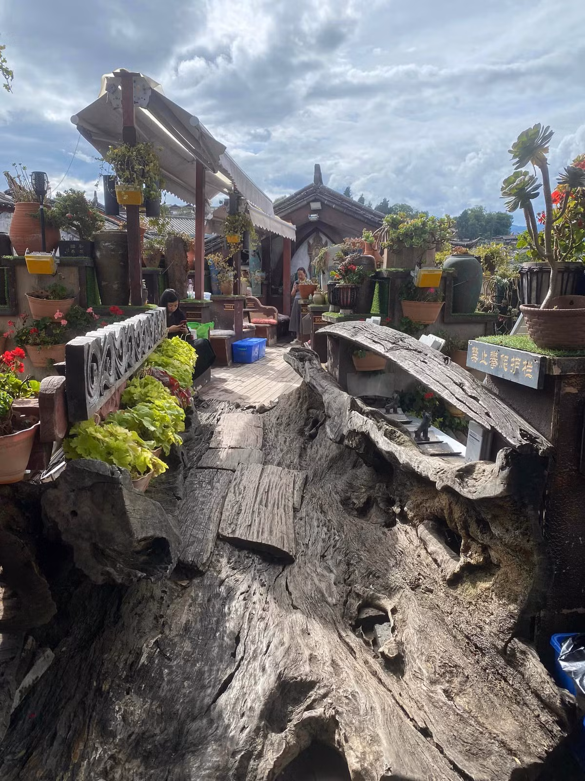 Các quán xá tại đây cũng trang trí theo phong cách cổ kính, 1 thân cây được khoét để làm cầu kết nối 2 dãy nhà.