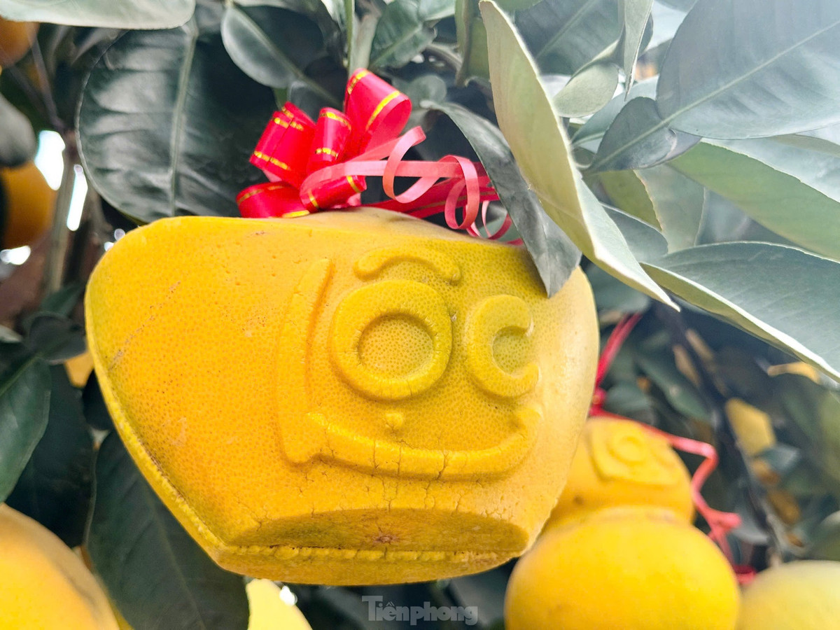 Những quả to, màu đẹp sẽ được tạo hình chữ tài, lộc.