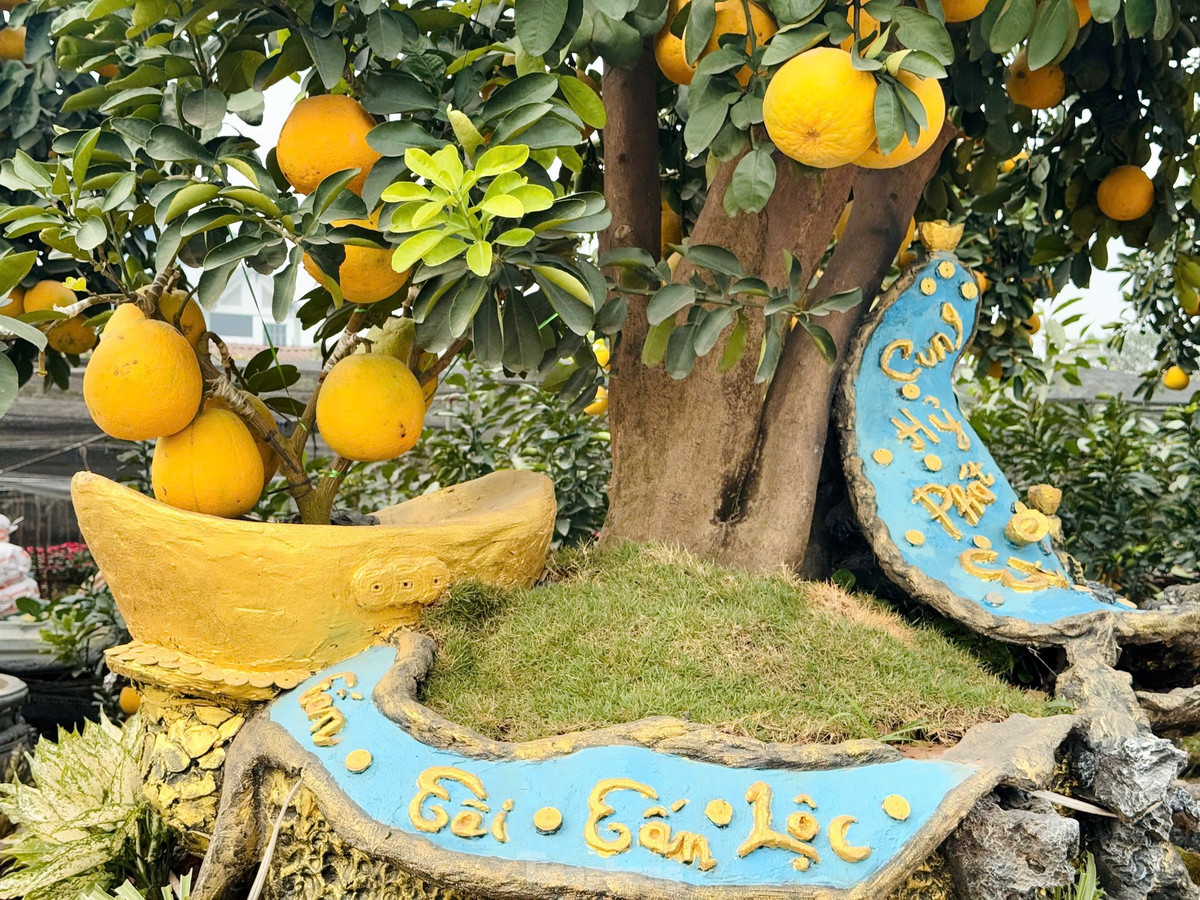 Để tạo ra những sản phẩm độc lạ này, nhiều năm qua, những người làm vườn vùng đất Văn Giang đã kỳ công tạo dáng, đổ mồ hôi, công sức sưu tầm, sáng tạo cho ra những cây bưởi cảnh để có sức hấp dẫn đặc biệt với người chơi dịp Tết.