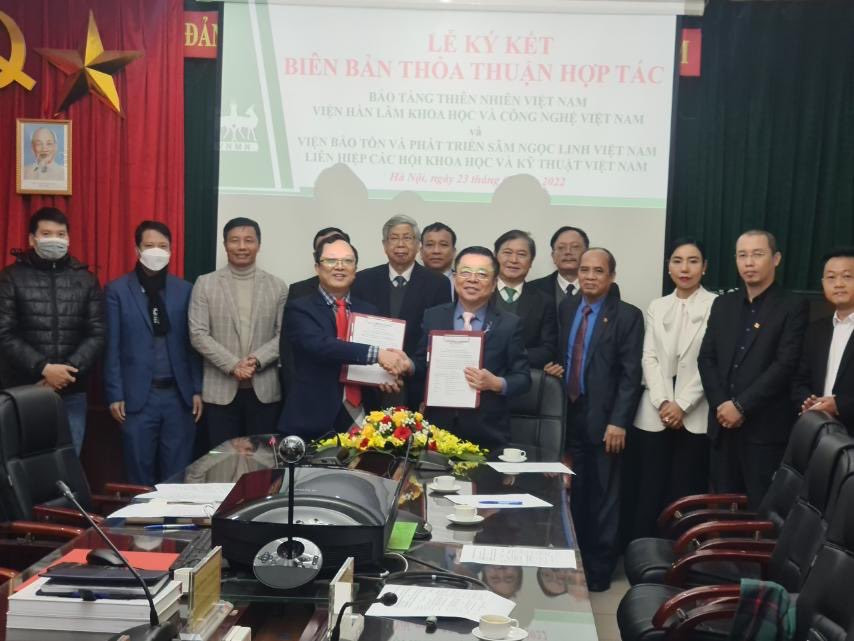 Bao tang Thien nhien Viet Nam ky ket hop tac voi Vien bao ton va phat trien sam Ngoc Linh