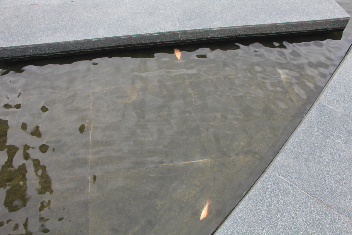 Ngoài ra, hồ nước nghệ thuật và hệ thống cấp điện, điện chiếu sáng nghệ thuật và thoát nước cũng luôn trong tình trạng chập chờn, ô nhiễm. Cá chết gây mùi hôi thối ngay tại cột đồng hồ. 