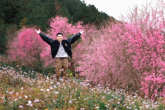 Mot lan trong doi hay trai nghiem nhung con duong hoa anh dao ruc ro