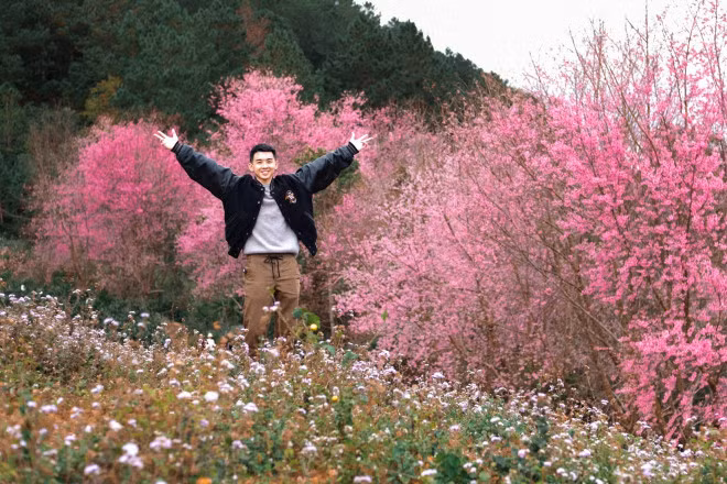 Mot lan trong doi hay trai nghiem nhung con duong hoa anh dao ruc ro