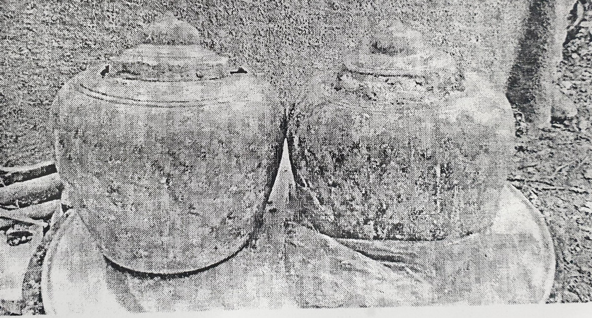 Phat hien 2 hu cot o Yen Tu: De xuat an vi mot noi, chon o mot neo?