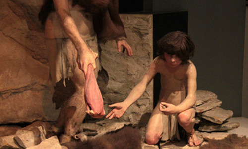 nguoi neanderthal bien mat vi nui lua phun trao? hinh anh