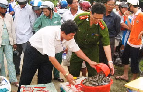 Thuong lai Trung Quoc mua tom tap chat co am muu gi hiem doc-Hinh-2