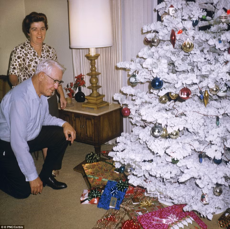 Năm 1960, cây Giáng sinh giả trở nên khá phổ biến. Trong đó, những cây Giáng sinh giả màu trắng trông giống như tuyết.