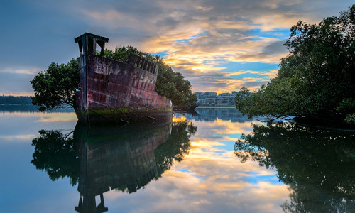 Tàu SS Ayrfield 102 năm tuổi ở Sydney, Australia từng được quân đội Mỹ sử dụng làm tàu chở than hồi Chiến tranh thế giới 2 ở Thái Bình Dương. Kể từ khi không còn được sử dụng, tàu SS Ayrfield bị hư hại và trở thành mái nhà của nhiều cây cối.