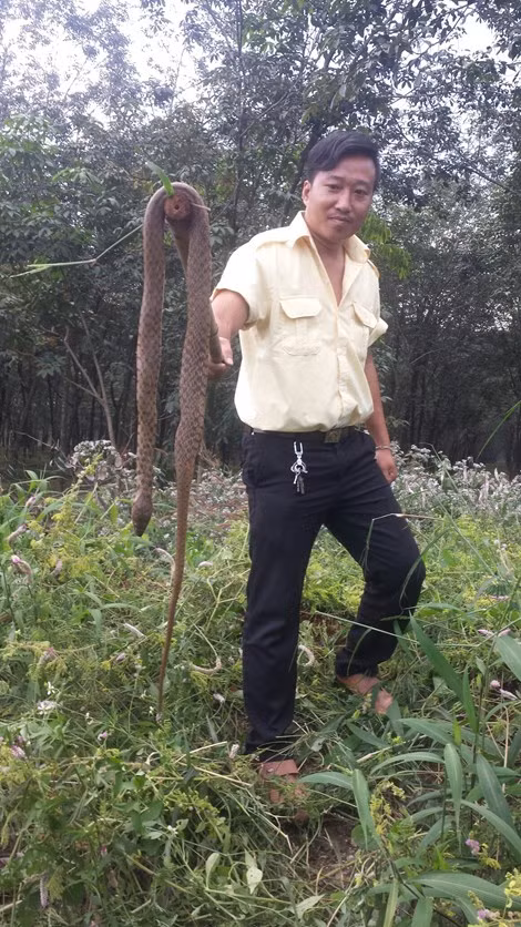 Người dân đang lùng bắt rắn.