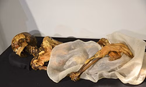 Theo tín ngưỡng cổ xưa, việc nàng công chúa trên được chôn cất trong băng là nhằm mục đích "ngăn lối vào thế giới của người quá cố". Tờ Siberian Times mới đăng tải bài viết cho hay các nhà khoa học đã lên kế hoạch để đưa lại xác ướp trên về dãy núi Altai ở Nga và xây một lăng mộ riêng để công chúa an nghỉ. Theo dự kiến, việc xây dựng lăng mộ sẽ bắt đầu vào năm 2015 tại vùng thảo nguyên cao 2500m ở đồng bằng Ukok - nơi tìm thấy xác ướp trên năm 1993.