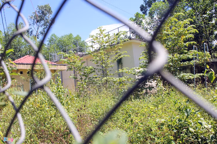 Bên trong khuôn viên nhà máy nước sạch, cỏ mọc um tùm phủ kín cả lối đi.