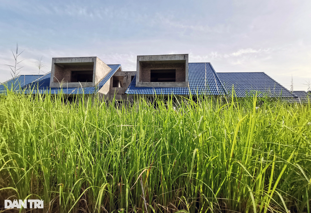 Thông tin về nguyên nhân "đắp chiếu" nhiều năm của đô thị đầm Dạ Trạch trên báo Dân Trí, đại diện Công ty Châu Linh cho biết, việc cấp Giấy chứng nhận quyền sử dụng đất, quyền sở hữu nhà gắn liền với đất của dự án Làng sinh thái, du lịch, đô thị đầm Dạ Trạch đang phát sinh vướng mắc nhiều năm chưa được giải quyết.