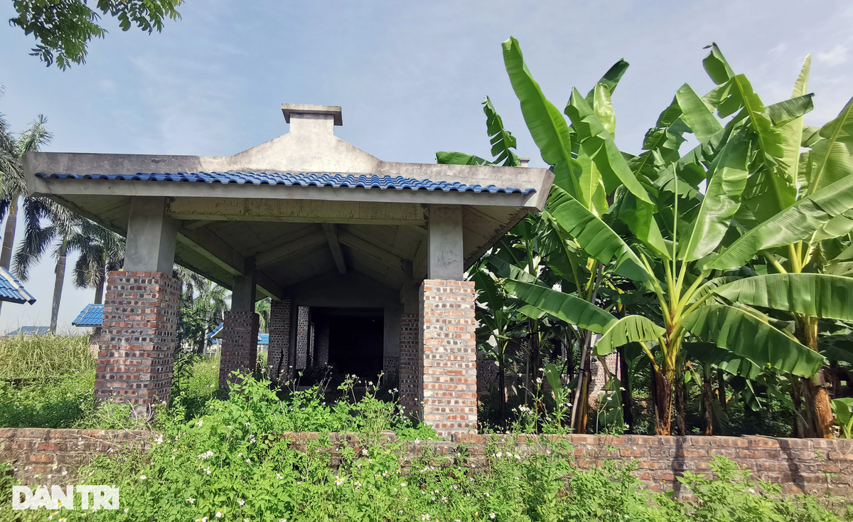 Cụ thể, việc xác định giá đất tại dự án của cơ quan chức năng kéo dài nhiều năm chưa được giải quyết dứt điểm đã ảnh hưởng trực tiếp tới quyền lợi của doanh nghiệp và sự phát triển chung của địa phương đang có dự án.