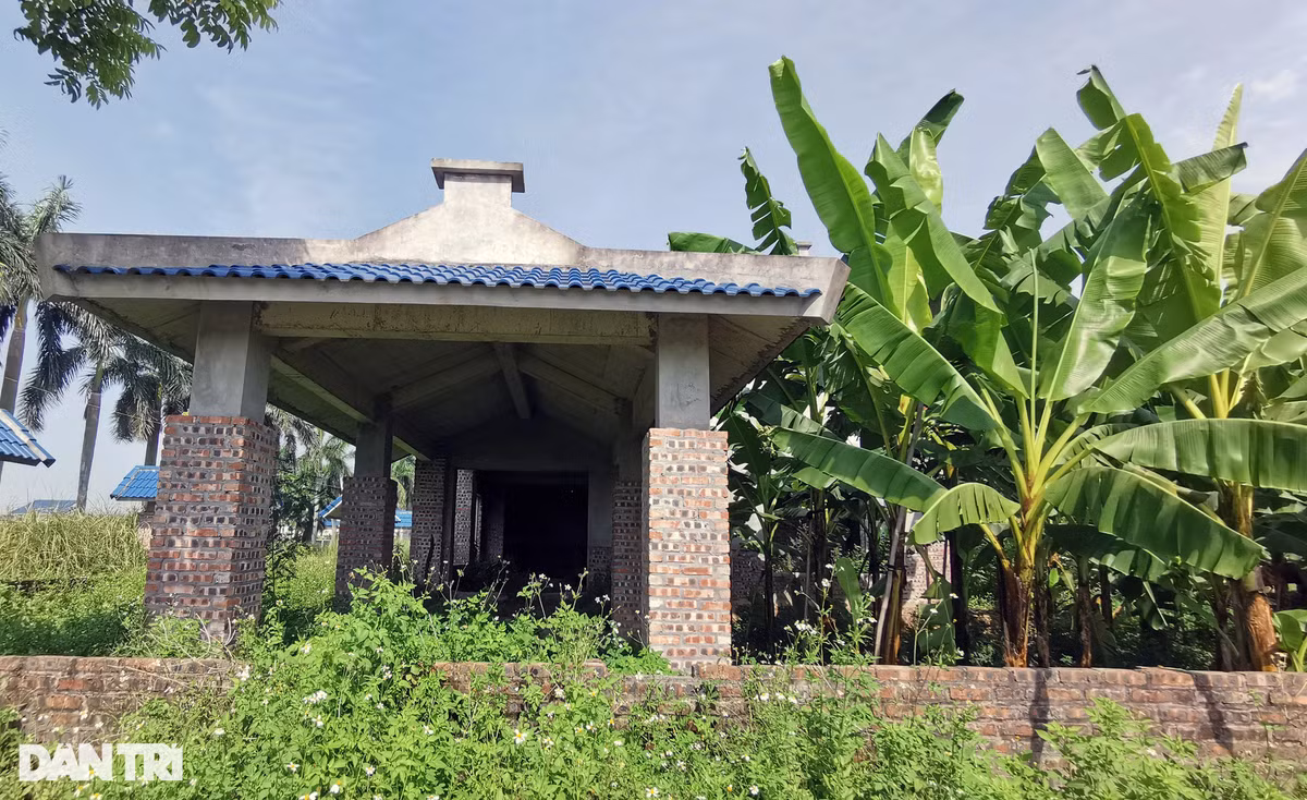 Cụ thể, việc xác định giá đất tại dự án của cơ quan chức năng kéo dài nhiều năm chưa được giải quyết dứt điểm đã ảnh hưởng trực tiếp tới quyền lợi của doanh nghiệp và sự phát triển chung của địa phương đang có dự án.