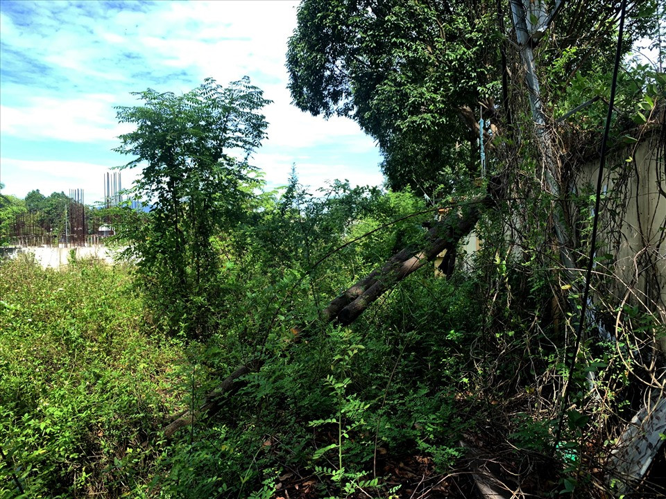 Cảnh tượng nhếch nhác tại khu đất phục vụ dự án. (Ảnh: Lao Động).