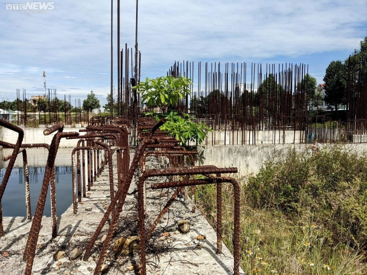 "Việc Bệnh viện Đa khoa tỉnh Quảng Ngãi không cho phép chủ đầu tư vay vốn theo như hồ sơ 2 bên trình chủ trương đầu tư ban đầu khiến dự án phải dừng triển khai vì đã hết vốn", ông Đức nói với VTC News. (Ảnh: VTC News).